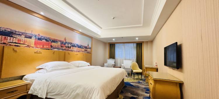 维也纳酒店(深圳南油服装城南光地铁站店)图片