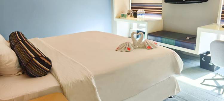 郑州上街雅乐轩酒店(区政府店)图片