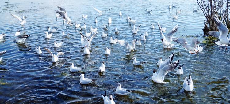 大理屿你民宿(洱海店)图片