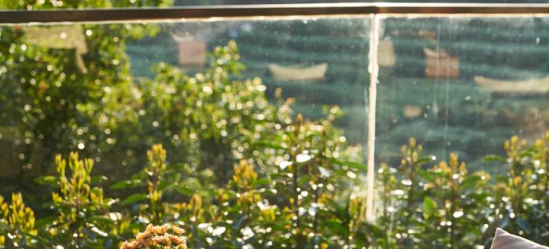 杭州龙井茂居酒店图片