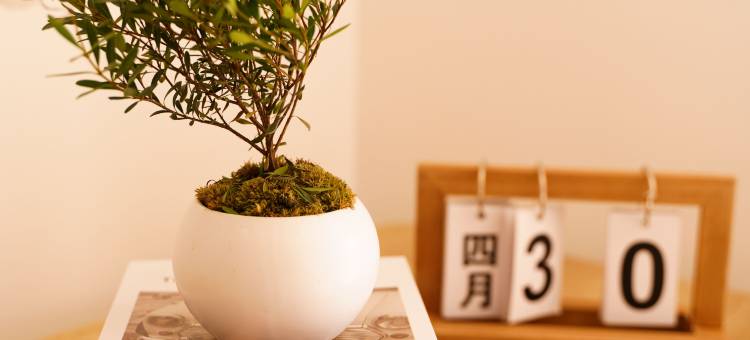 大连朝海精品民宿(中山广场港湾广场地铁站店)图片