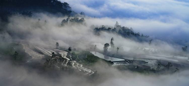 元阳原舍阿者科酒店(阿者科古村落店)图片