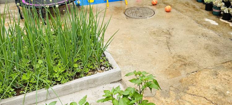 腾冲耕读小筑客栈图片