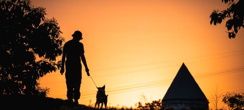 安吉星空谷·山野轻奢度假露营地(天空之城店)图片