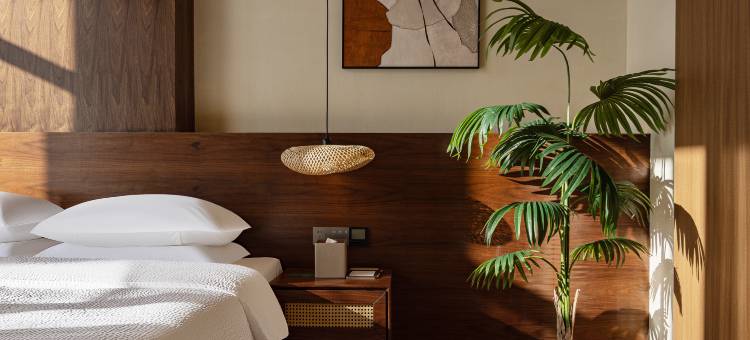 大隐泊森酒店(恩施舞阳坝店)图片