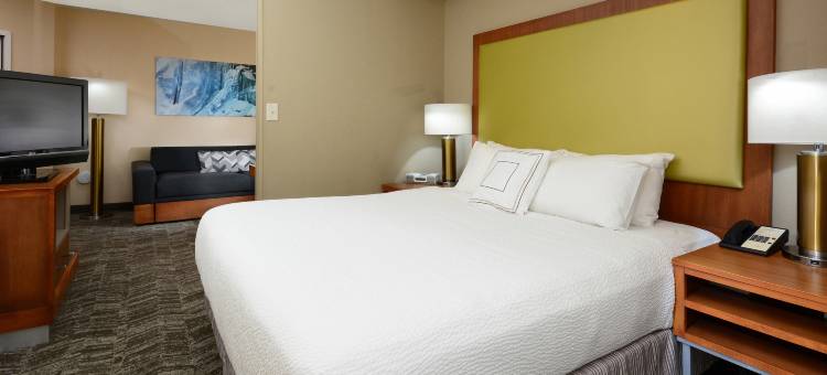 林奇堡机场-大学区万豪SpringHill酒店(SpringHill Suites Lynchburg Airport/University Area)图片