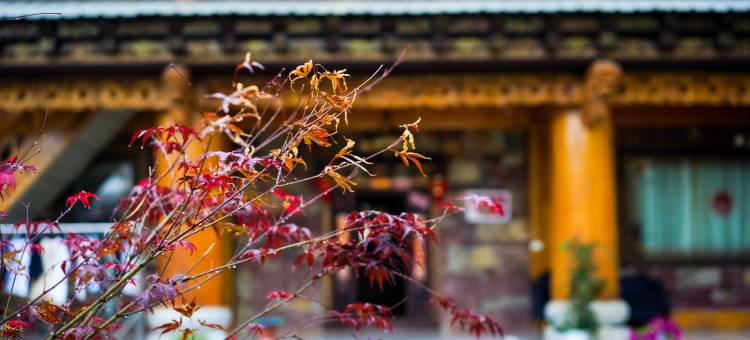松间赞韵民宿(松赞林寺景区店)图片