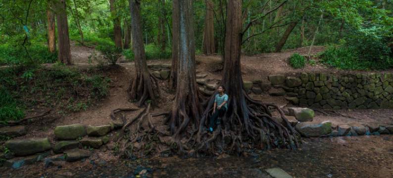杭州沐居民宿(西湖景区店)图片
