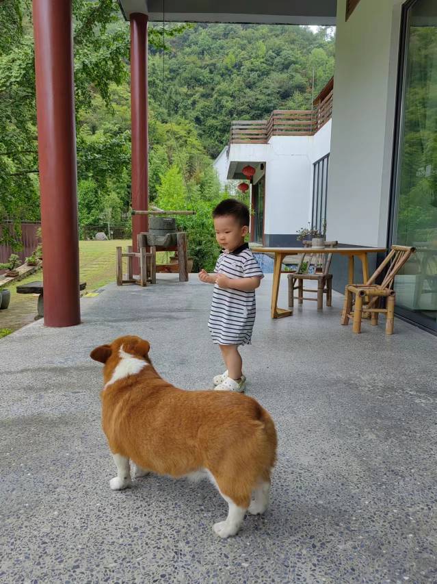 乡庐怡陌·山谷溯溪度假美宿图片