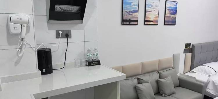 丽风四季公寓(坚基春天里店)图片