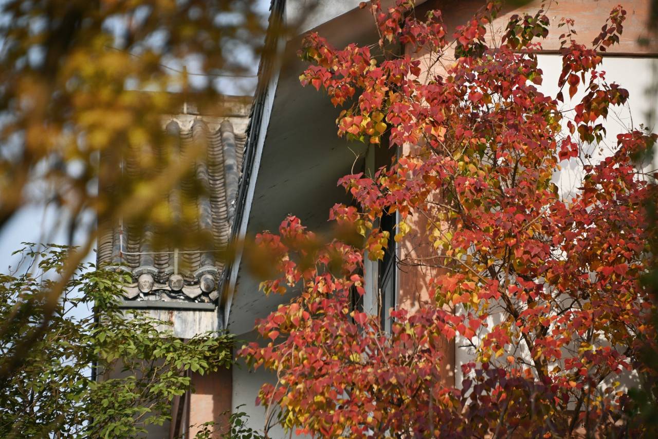 巴中恩阳花间堂·米仓道图片