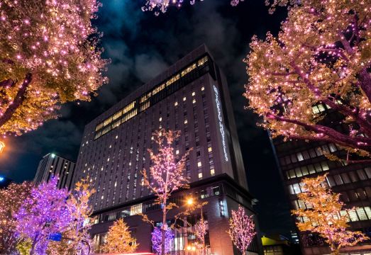 大阪东急卓越酒店