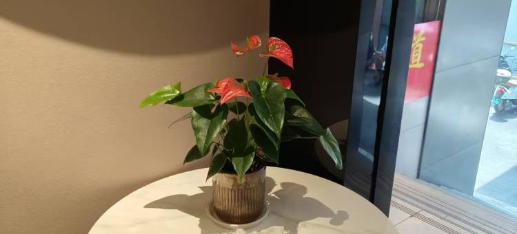 如家酒店(衡阳晶珠广场南华大学附一店)图片