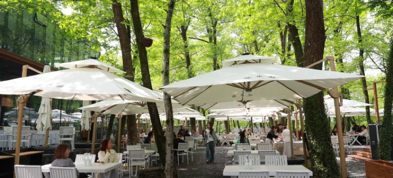 黄山观止园·黄花梨收藏酒店(西溪南古村落景区店)图片