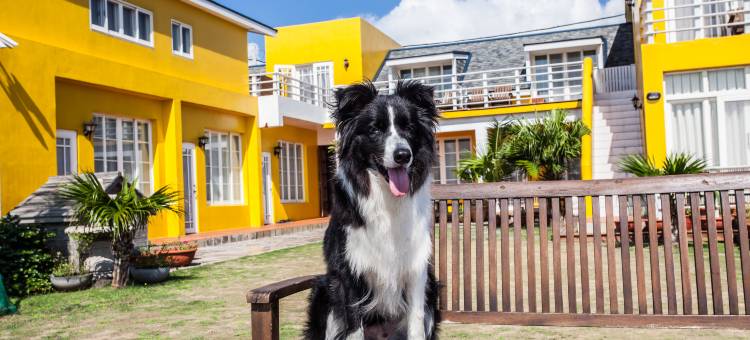 夏滟渡假民宿图片