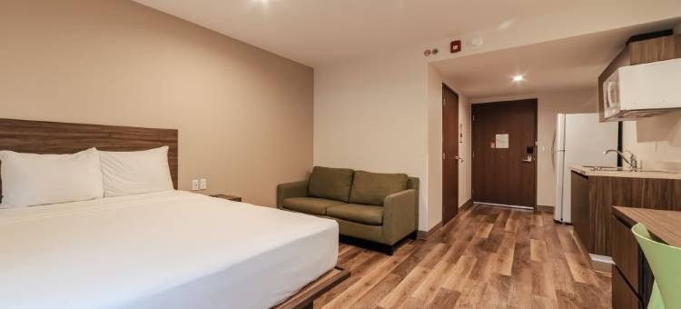 梅尼达西格洛XXI长住套房酒店(Extended Suites Merida Siglo XXI)图片