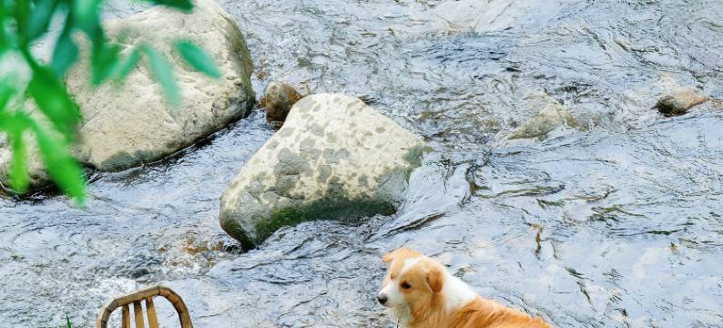 安吉AGEE尔集·如溯民宿图片