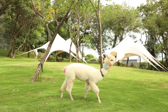 南太湖山庄图片
