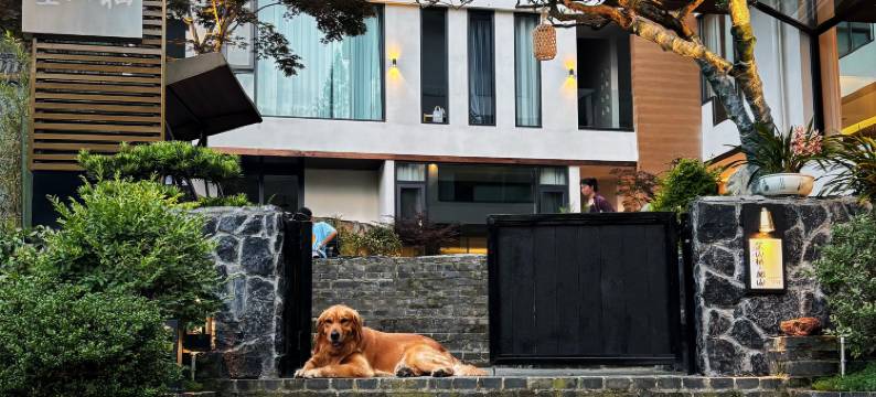青城山望山栖·阅山(青城后山景区店)图片
