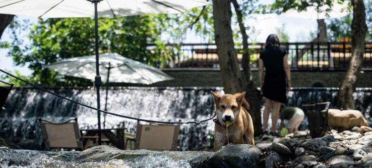 轩屹·山野·亲子观影轻智能度假美宿(云上草原熊猫探险乐园店)图片