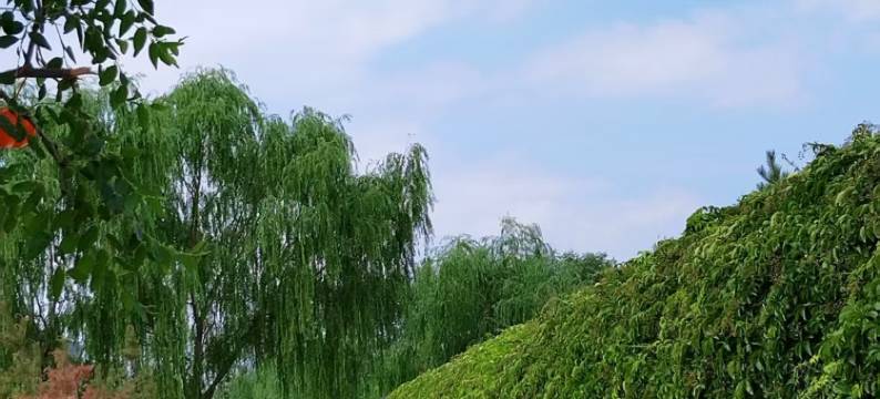 乐北苑民宿图片