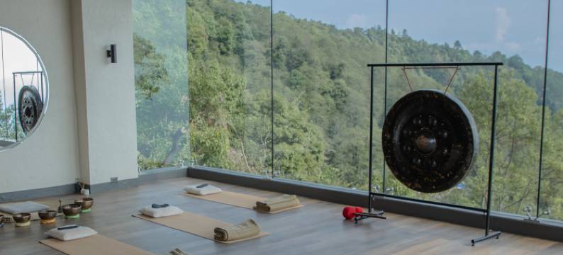 卡维亚喜马拉雅酒店(Kavya Himalayas)图片