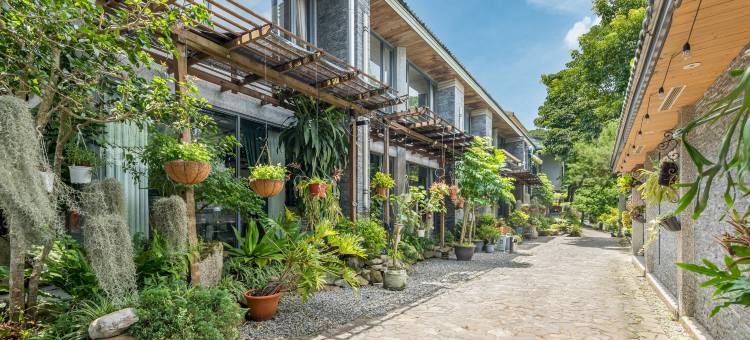 苗栗喆娟梦田图片