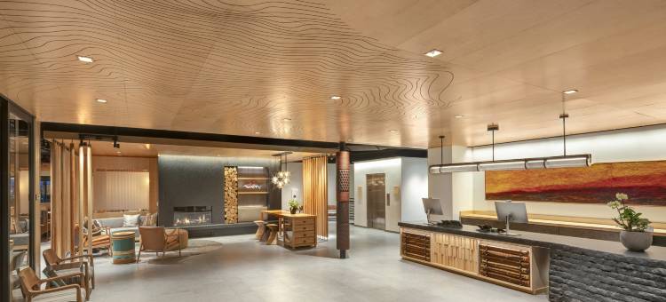 凯悦尚选The Wildbirch酒店(The Wildbirch Hotel - JdV by Hyatt)图片