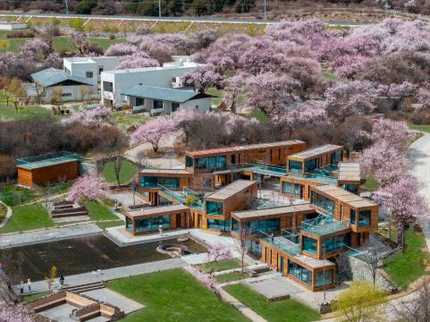山泽居度假酒店(林芝机场店)图片