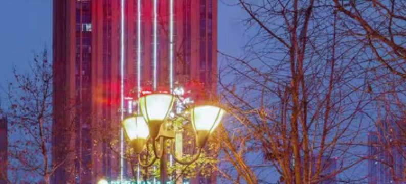 重庆汀龙酒店图片