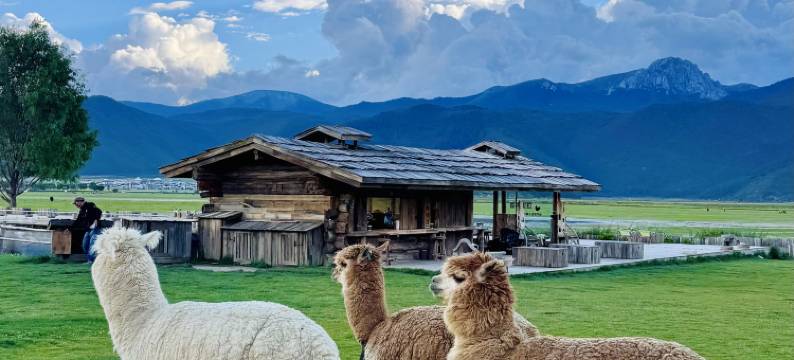 雪山野境｜十里雪山野奢庄园(香格里拉纳帕海店)图片