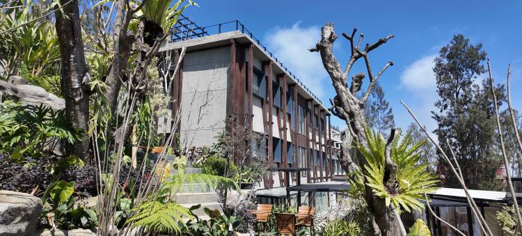 詹布卢武克布罗莫高级旅舍(Jambuluwuk Bromo Poshtel)图片