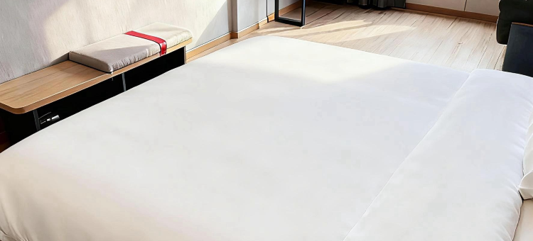 余干维多利亚假日酒店(琵琶湖米兰街店)图片