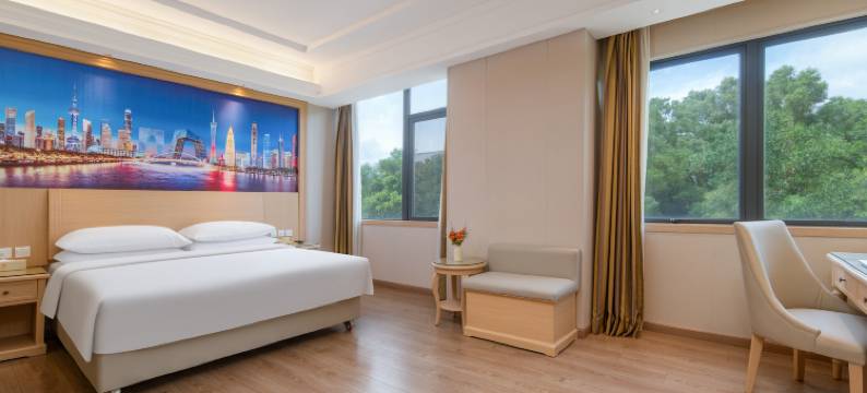 维也纳酒店(深圳龙珠店)图片