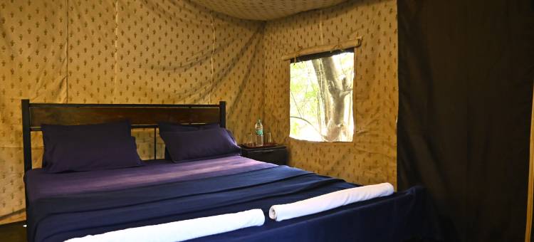 天堂河边营地(Camp Riveredge Paradise)图片