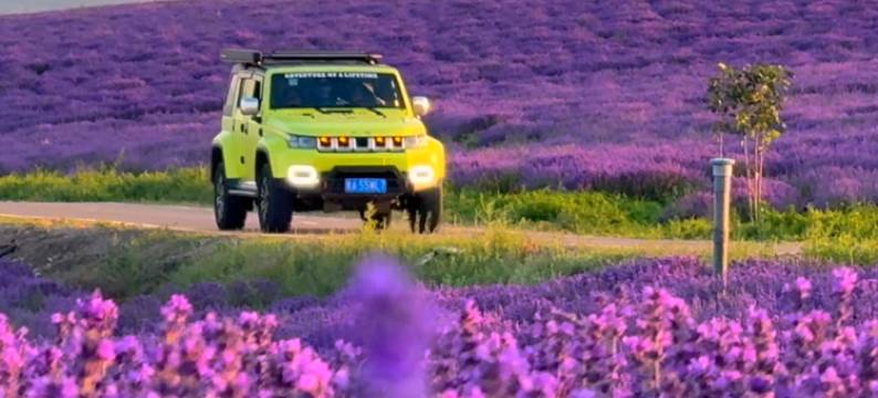 天山花海民宿图片
