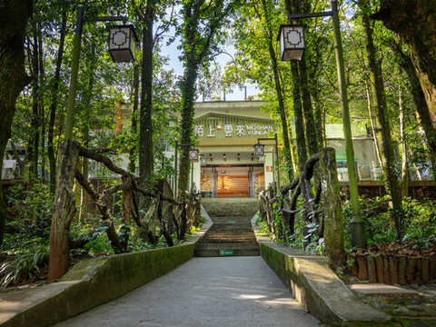 武定陌上云来民宿