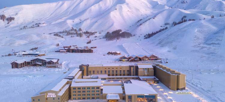 阿勒泰禾木希尔顿酒店图片