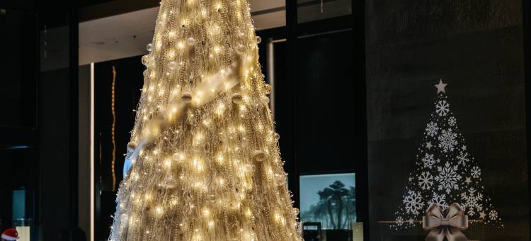 西安丽思卡尔顿酒店图片