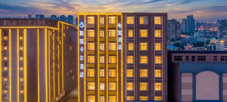 斯丽卡尔精品酒店(一峰城市广场步行街店)图片