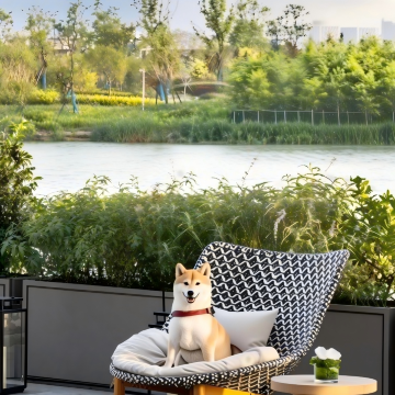 贵阳朵芳阁温泉度假酒店图片