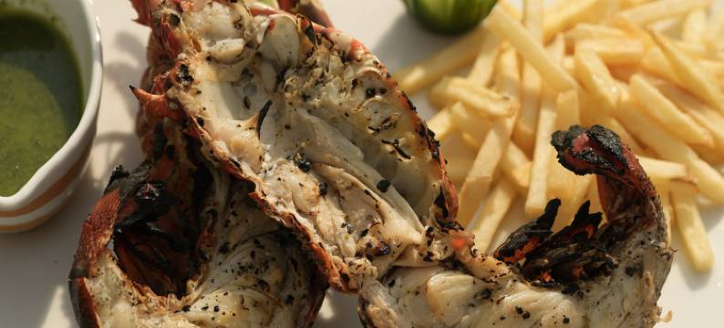 芙蓉海滩酒店(Hibiscus Beach Hotel)图片