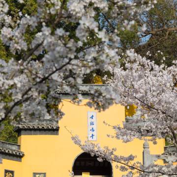 南京金丝利喜来登酒店图片