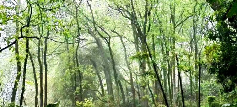 重庆鉴宽山房民宿图片