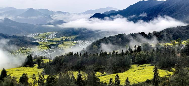 印象婺源・Wuyuan Impression主题美宿(李坑风景区店)图片