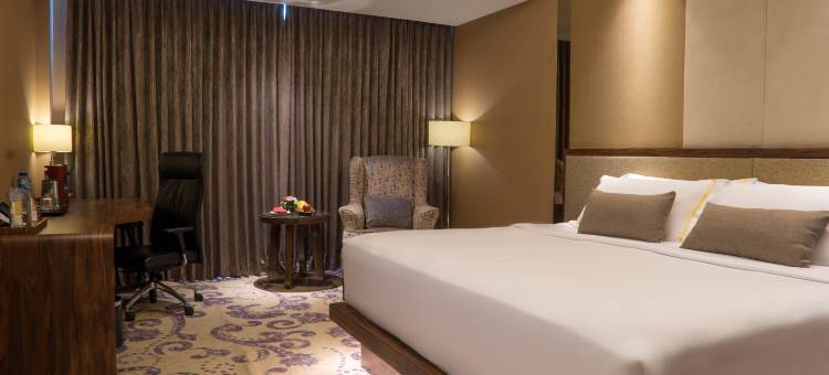 阿里斯塔帕拉姆邦酒店(The Arista Hotel Palembang)图片