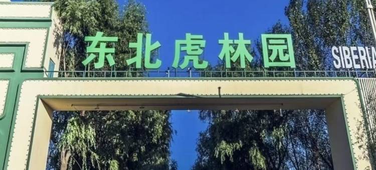 艺选酒店(哈尔滨杉杉奥特莱斯江北大学城地铁站店)图片