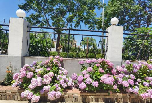 锦澜度假酒店(烟台欧乐堡店)