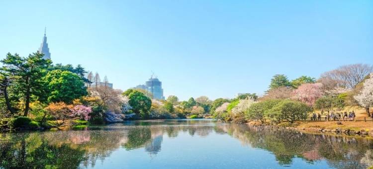 东横INN-山手线大冢站北口2号(Toyoko Inn Tokyo Yamanote Sen Otsuka Eki Kita Guchi No 2)图片