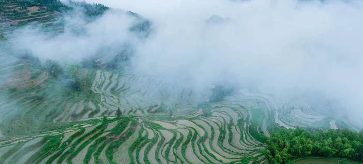 云栖梦溪云里·ForestPark森系秘境休闲民宿(武岱峰森林公园店)图片